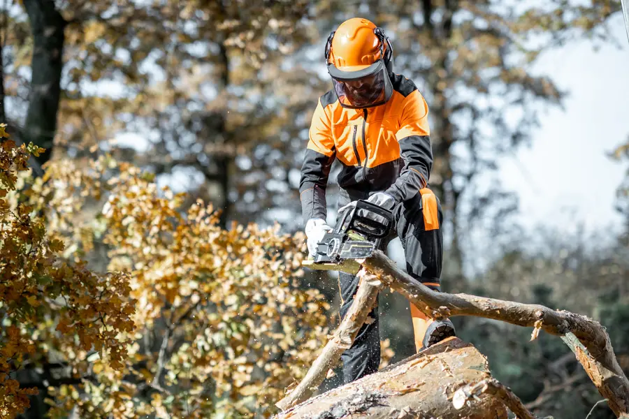 How Tree Cutting Service Protects Nearby Structures Stockton, CA