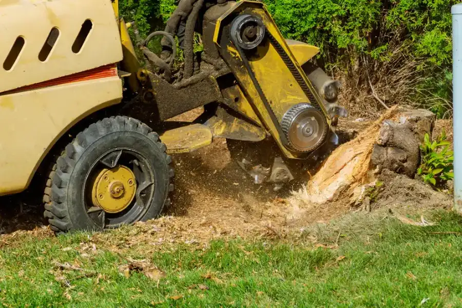 What To Expect During A Stump Grinding Process Stockton, CA